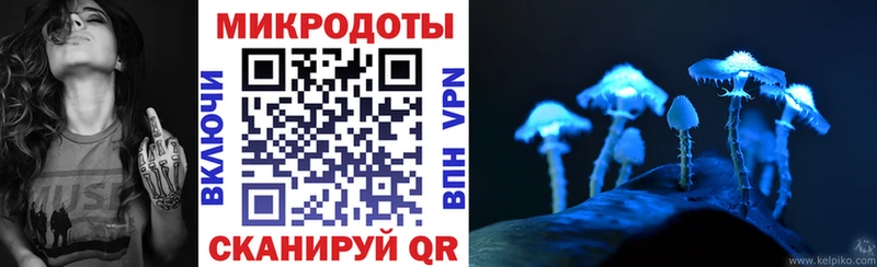 мега вход Тавда Галлюциногенные грибы прущие грибы хочу наркоту